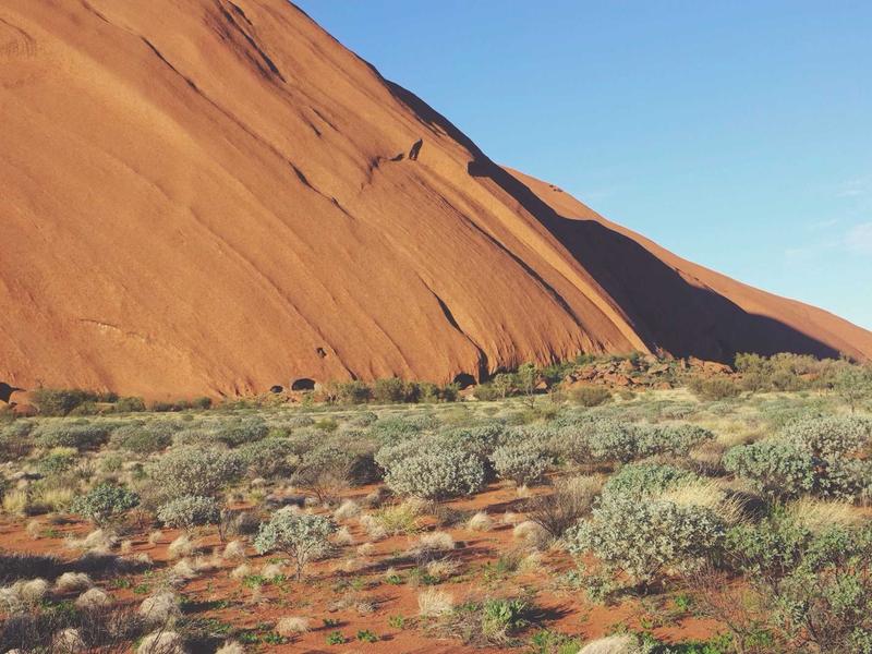 绿能脉动<br>碳中和与光伏储能信息港